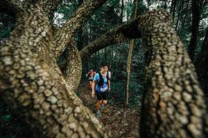 BIB: 
                            <button type="button" onclick="openModal(25392980)" class="btn btn-primary btn-sm float-right btn-popup" data-toggle="modal" data-target=".modal-high-quality">
                        <i class="fas fa-shopping-cart"></i> Add to Cart
                    </button>
                                            <button type="button" onclick="isThisMe(25392980, true)" class="btn btn-success btn-sm float-right btn-popup btn-isme hidden" data-toggle="tooltip" data-placement="bottom" title="นี่คือรูปของคุณใช่ไหม คลิกที่นี่เพื่อเอาเข้าอัลบั้ม">
                        <i class="fas fa-plus"></i> Add to album
                    </button>
                    <button type="button" onclick="isThisMe(25392980, false)" class="btn btn-warning btn-sm float-right btn-popup btn-isnotme hidden">
                        <i class="fas fa-ban"></i> Remove from album
                    </button>